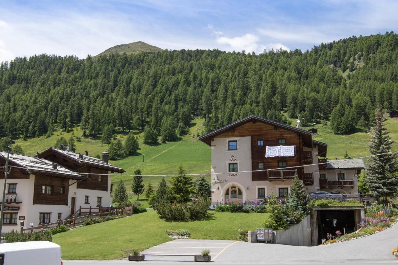 Soldanella - * Livigno