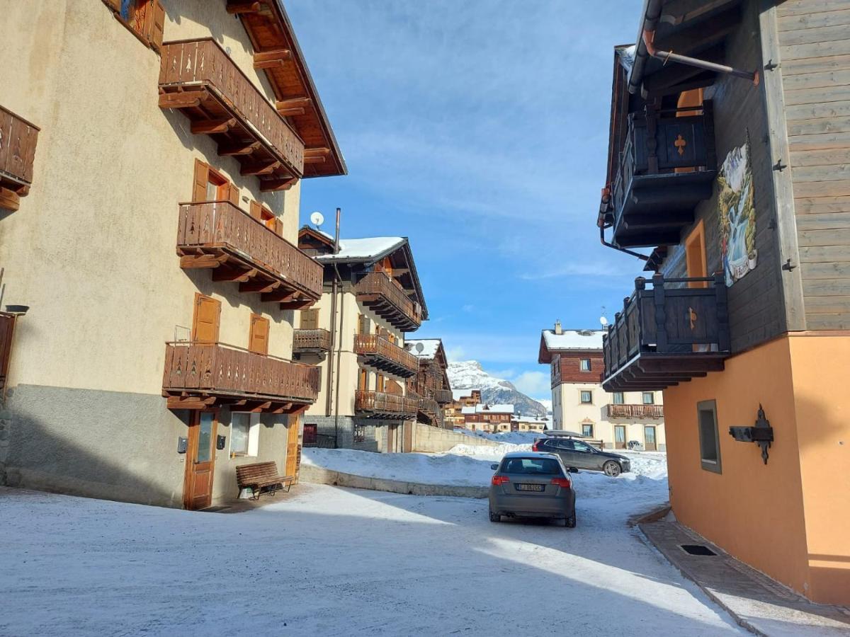 Soldanella -