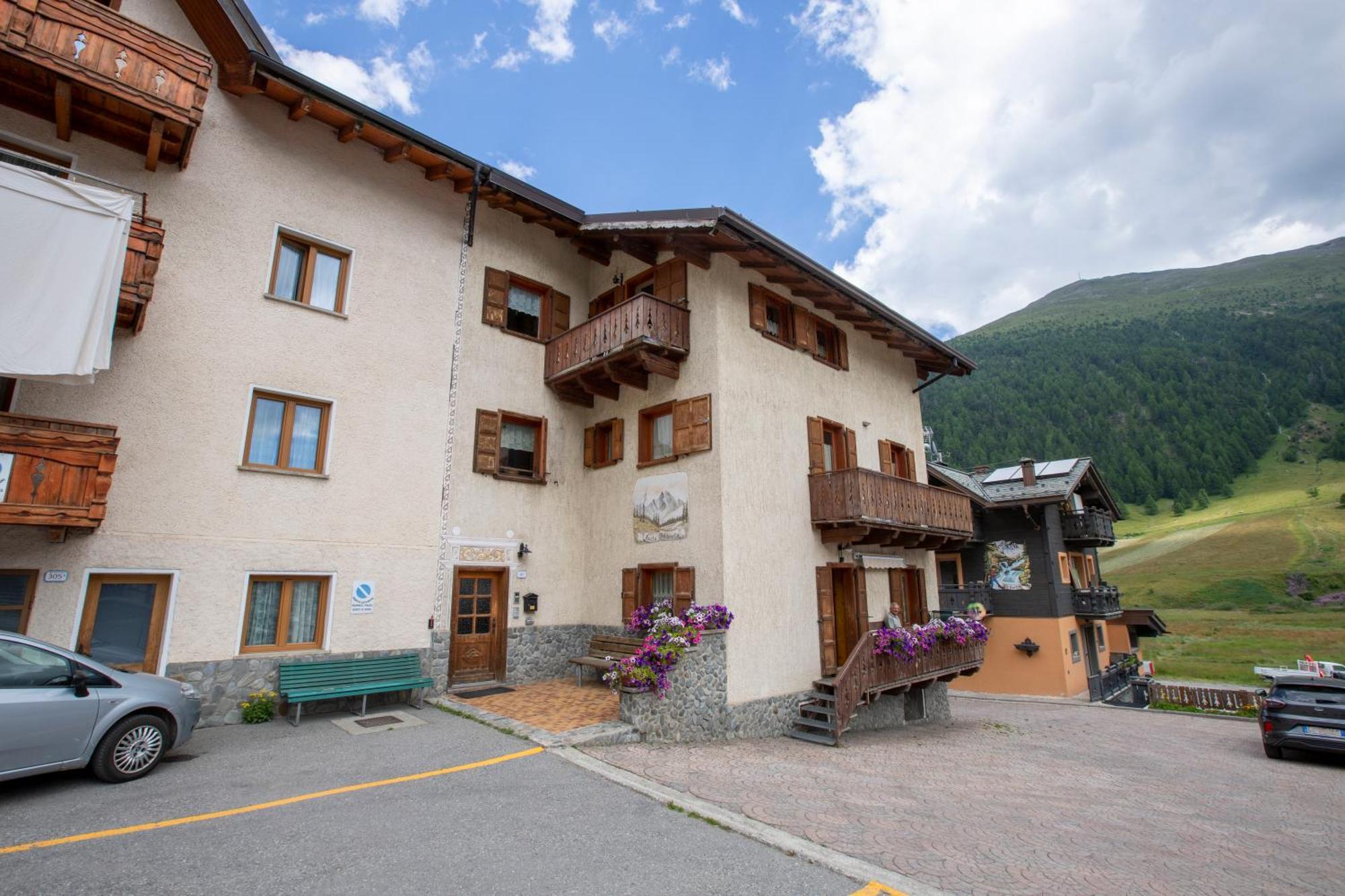 Soldanella - * Livigno